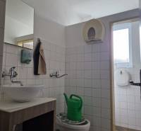 Bathroom with a sink, toilet, and showerhead. Warehouses and halls on Šamorínska Street.