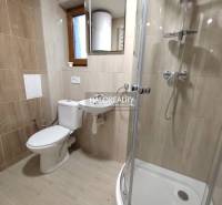 A bathroom in a studio apartment with a toilet, sink, shower, and window.