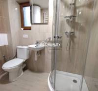 A bathroom in a studio apartment with a toilet, sink, and shower.