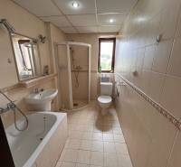 A bathroom in a 2-room apartment with a bathtub, shower, sink, and toilet.