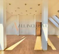 Attic space in a building with wooden floors and skylights.