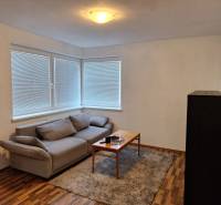 Living room in a 2-room apartment with a sofa, table, and carpet on a wooden floor.