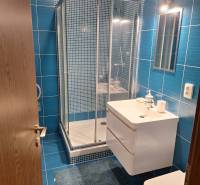 A bathroom with blue tiles and a shower in a 2-room apartment.
