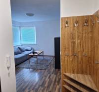 In the 2-room apartment, there is a sofa, a coffee table, wooden paneling, and coat hooks.