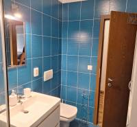 A bathroom with a shower, a sink, and blue tiles in a 2-room apartment.