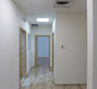 A white corridor with tiles, wooden doors, and lighting in the area of warehouses and halls.