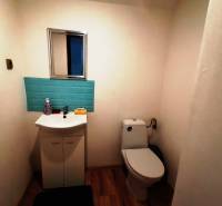 A toilet in a family house with a sink, a mirror, and blue tiles.