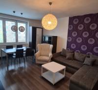 Living room in a two-room apartment with a sofa, an armchair, and a dining table.