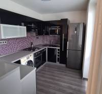 A kitchen in a 2-room apartment with appliances, dark furniture, and purple tiles.
