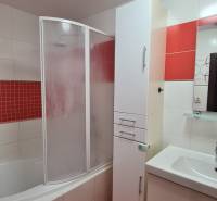 Bathroom in a 2-room apartment with a shower and a sink, red accents.