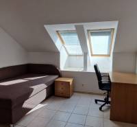 Attic room in a family house with a sofa bed, a coffee table, and a desk.