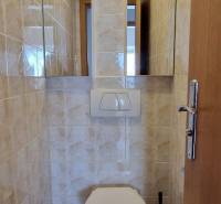 Toilet in a family house with wall tiles and a wall-mounted flush.