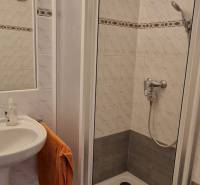 Bathroom in a family house with a sink and a shower.