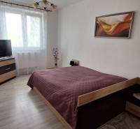 A bedroom in a 3-room apartment with a bed, television, and wall decoration.