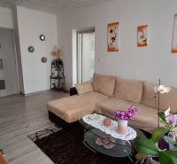 Living room of a three-room apartment with a sofa, decorations, and wooden doors.