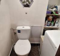 A bathroom in a 3-room apartment with a toilet, a washing machine, and shelves with cleaning products.