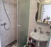 A bathroom in a 3-room apartment with a shower and a sink full of natural light.