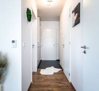 A hallway in a 2-room apartment with wooden flooring, white walls, and decorative elements.