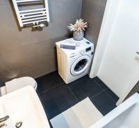 Bathroom with a shower, sink, washing machine, and decorative plants in a 2-room apartment.