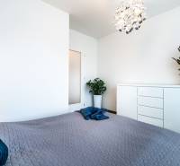 Bedroom with a bed, dresser, and plants in a two-room apartment.