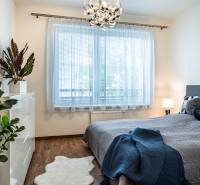 Bedroom in a 2-room apartment with a bed, lamp, and decorative plants.