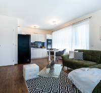 Living room in a two-room apartment with a comfortable sofa and light-colored walls.