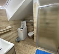 A bathroom in a family house with a shower, a washing machine, and wooden wall panels.