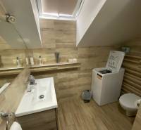 A bathroom in a family house with a sink, washing machine, and toilet in light wooden tones.