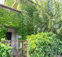 Overgrown facade of a house on Brnianska Street in Bratislava - Old Town.