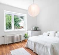 A bright room with a bed, plants, and a window in a two-room apartment.