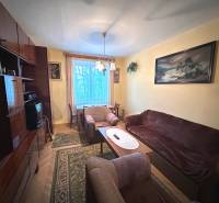 Living room in a three-room apartment with a sofa, carpet, painting, and cabinet set.