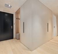 Entrance hall in a 3-room apartment with wooden flooring and black doors.