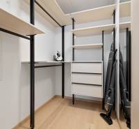 A wardrobe in a 3-room apartment with shelves, drawers, and cleaning tools.
