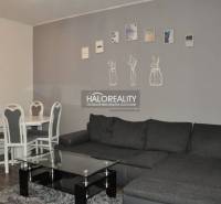 Living room with a gray sofa and a dining table in a 3-room apartment.