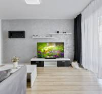 Living room in a 2-room apartment with a television, gray wall, and wooden floor.