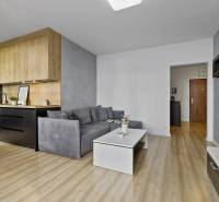 A stylish living room in a two-room apartment with a kitchen, wooden floor, and a sofa.