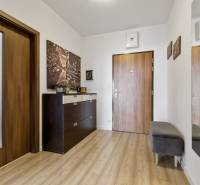 The entrance hall in a 2-room apartment with an entrance door, a wardrobe, and wall decoration.