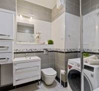 Bathroom in a 2-room apartment with a shower, washing machine, and a sink with a mirror.