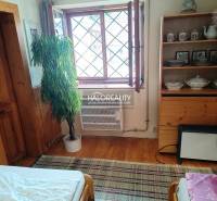 The interior of a cottage with wooden furniture, a plant, an open window, and a shelf with porcelain.