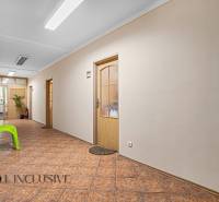 Hallway with doors and flowers in the Offices on Jilemnického Street, Dunajská Streda.