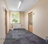 The hallway in the entrance area of the office with a flower and carried water.