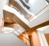 A wide staircase with a skylight in a 4-room apartment, wooden and glass elements.