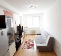 Living room in a 2-room apartment with a gray sofa, light wood, and a red carpet.