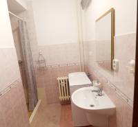 A bathroom in a 2-room apartment, containing a shower, a sink, and a washing machine with a radiator.