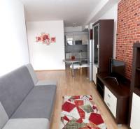 Living room of a two-room apartment with a sofa, television, and dining table.