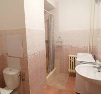 Bathroom in a 2-room apartment with a toilet, shower, and ceramic tiles.