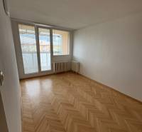 A room in a 2-room apartment with a parquet floor and a large window with a view.