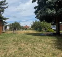 Grass area and trees on a residential plot in Zlaté Moravce.