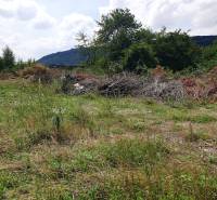 Commercial land in Trenčianske Bohuslavice, with wild vegetation and piles of branches.