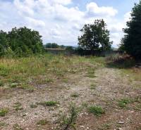 Land in Trenčianske Bohuslavice with bushes and trees in the background. Commercial land.